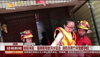 湖南经视荡寇在线观看,揭秘荡寇传奇，共赏英雄风采  第3张